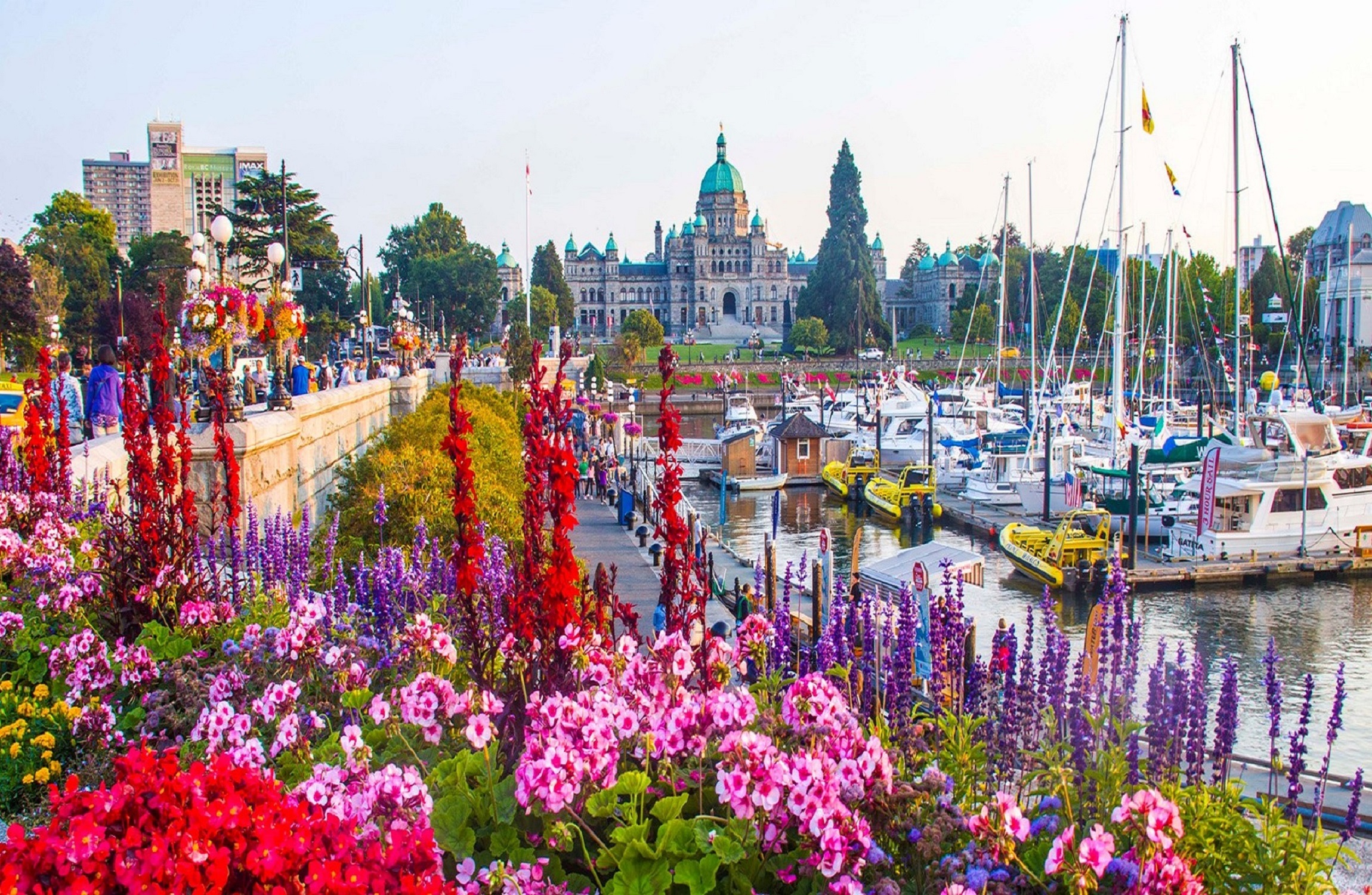 TourismVictoria_inner_harbour_flowers.jpg